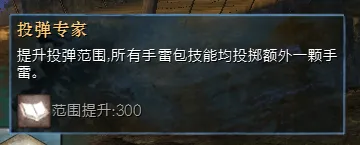 工程师BD配置_激战2工程师技能怎么带_狂暴症状工程