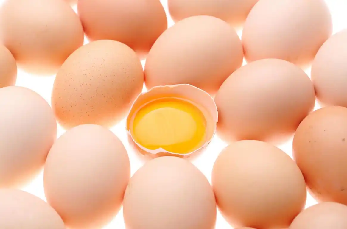 2025鸡蛋价格走势图_鸡蛋市场产能过剩_鸡蛋价格低迷