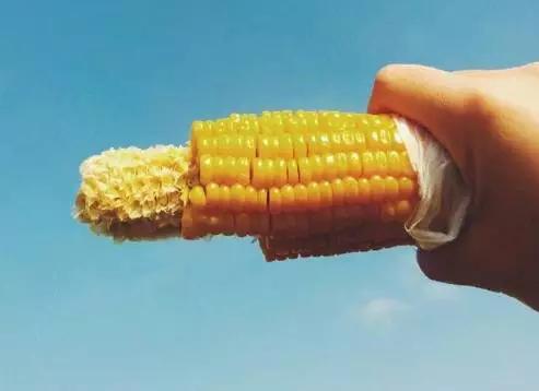 晚上不吃饭会反弹吗_主食怎么吃减肥_不吃主食减肥可取吗