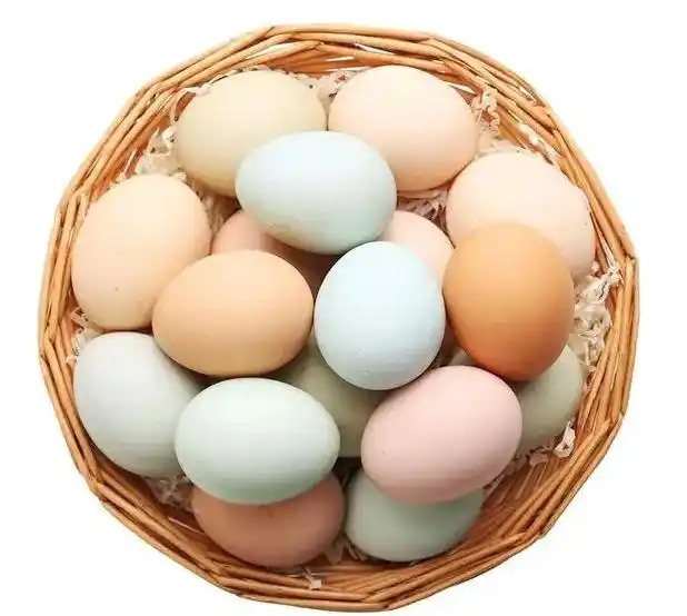 鸡蛋价格下跌原因分析_2025鸡蛋价格走势图_蛋价低迷市场现状