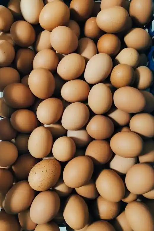 鸡蛋价格下跌原因分析_2025鸡蛋价格走势图_蛋价低迷市场现状