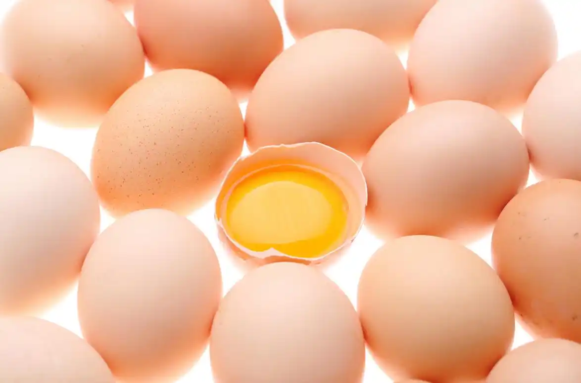 蛋价低迷市场现状_2025鸡蛋价格走势图_鸡蛋价格下跌原因分析