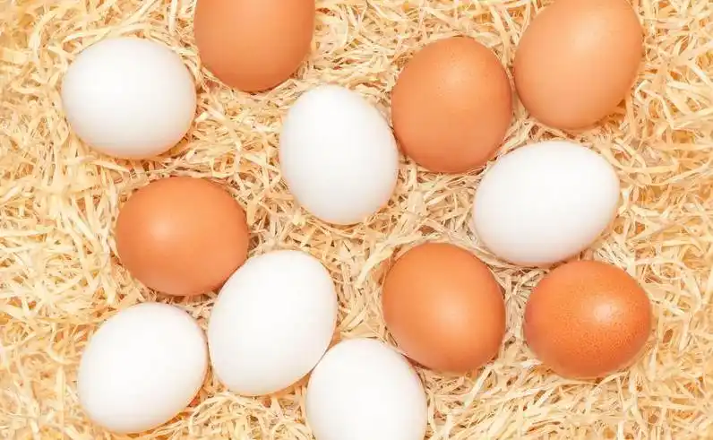 蛋价低迷市场现状_鸡蛋价格下跌原因分析_2025鸡蛋价格走势图