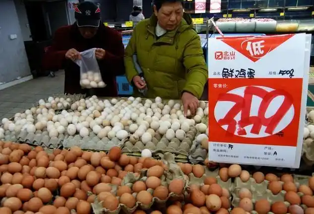 2025鸡蛋价格走势图_鸡蛋价格下跌原因分析_蛋价低迷市场现状