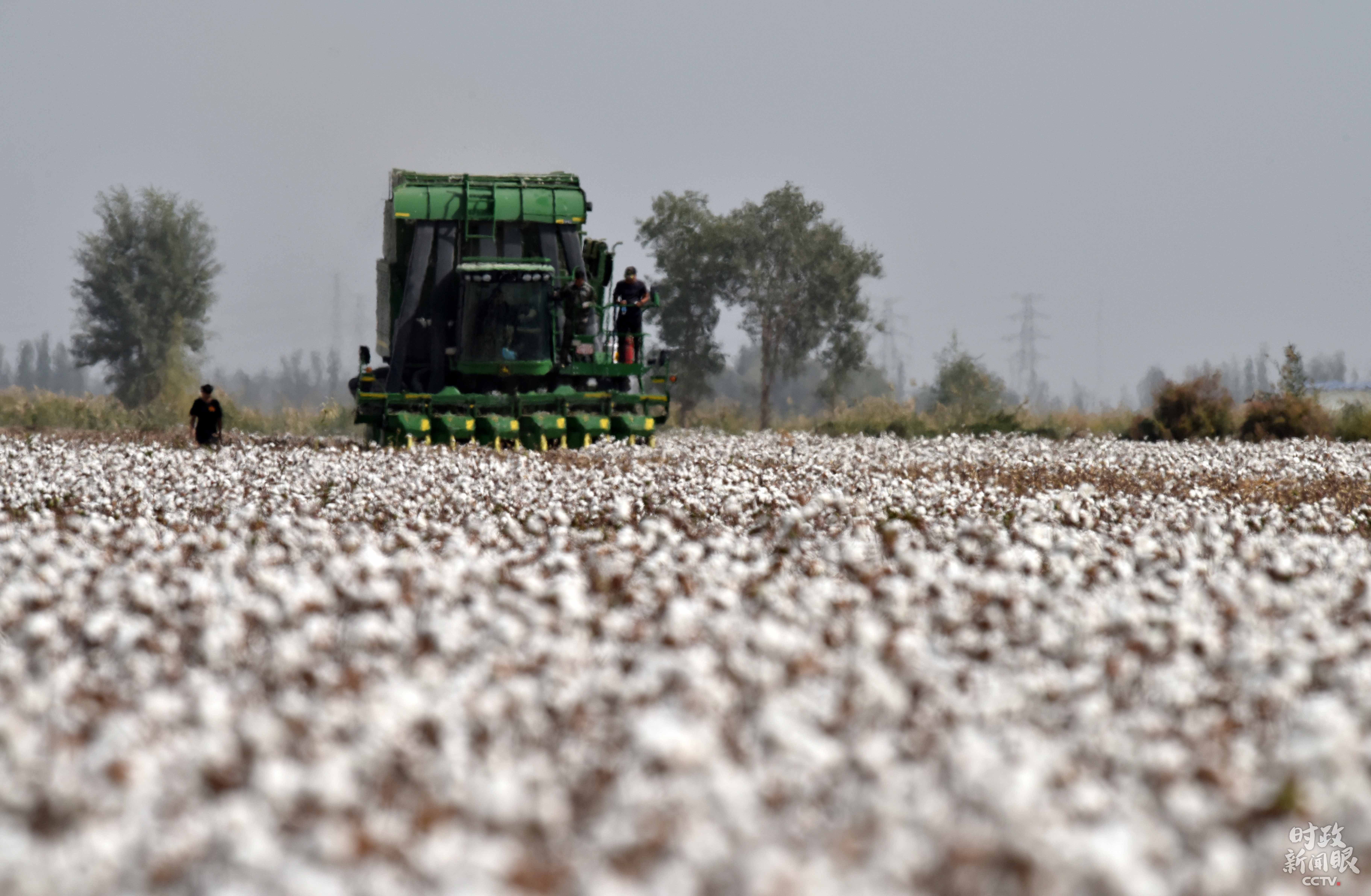 新疆社会稳定和长治久安_新时代党的治疆方略_对新疆局势发展的认识