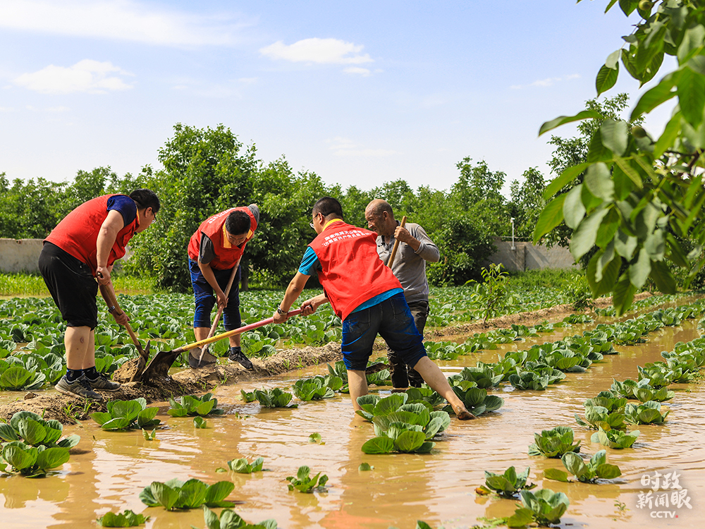 新时代党的治疆方略_新疆社会稳定和长治久安_对新疆局势发展的认识