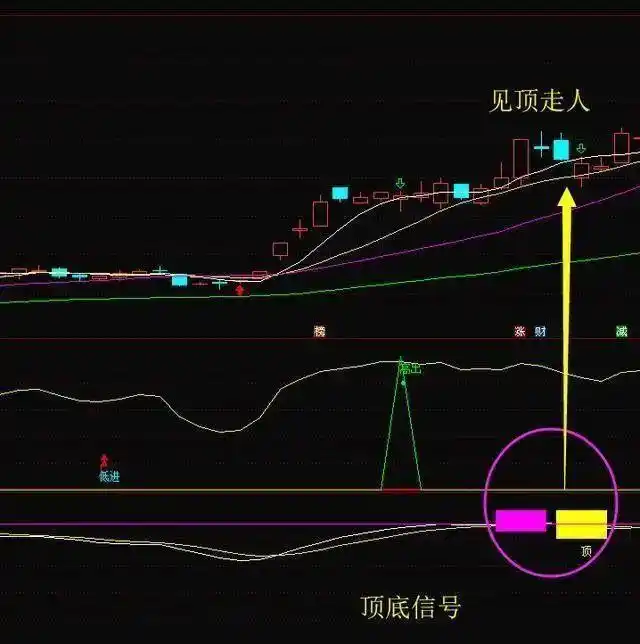 鳄鱼法则投资技巧_k线组合108式图解_鳄鱼法则止损策略