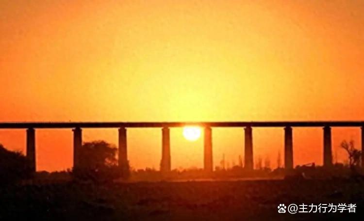 股票投资细节决定成败_上市公司基本面分析案例_盘面细节分析技巧