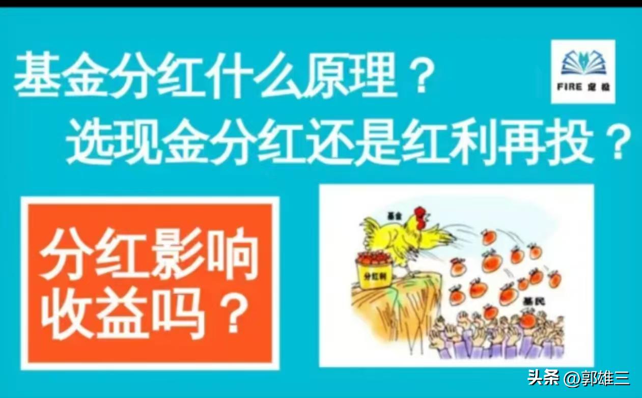 定投基金5年收益分析_每月定投1万收益计算_什么叫股票型基金定投