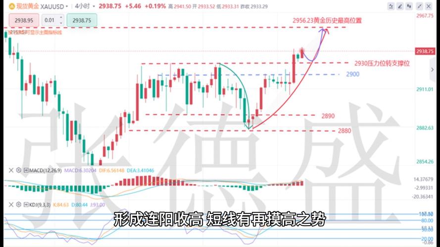 黄金投资亏损分析_黄金技术指标分析_白金期货价格走势图