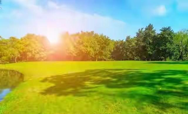 福彩三d2026年走势图_财神路径_性格财运