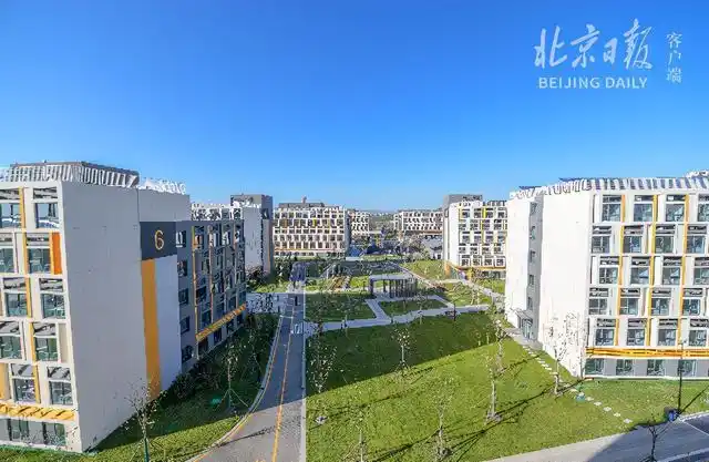 保障性租赁住房新物种_集体土地租赁住房_租售同权板块是什么意思