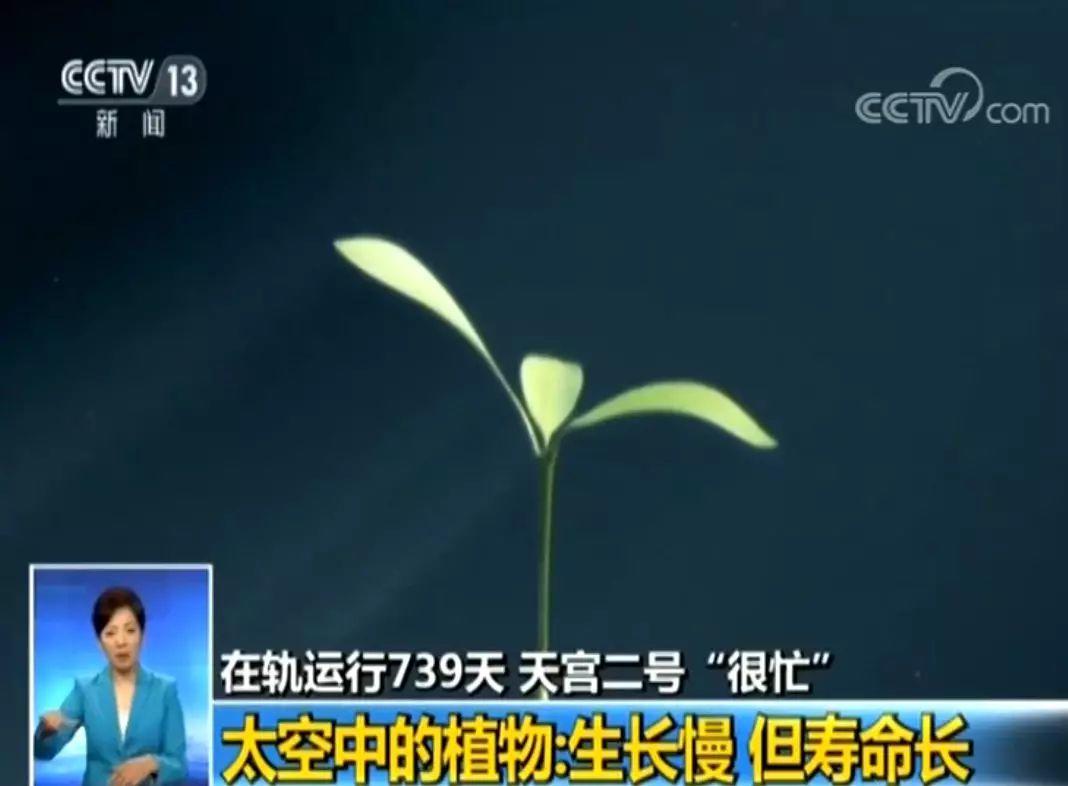 天宫二号空间实验室技术功能_天宫二号对接股票下跌_天宫二号空间实验室任务结束