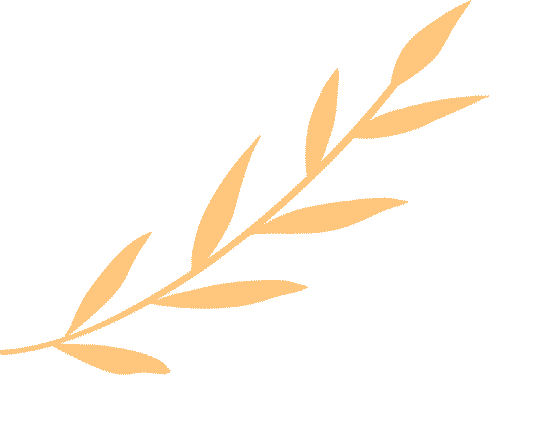 新一代电动自行车无线充电 批量生产_电动自行车拓展_玖蓝新能源 无线充电技术