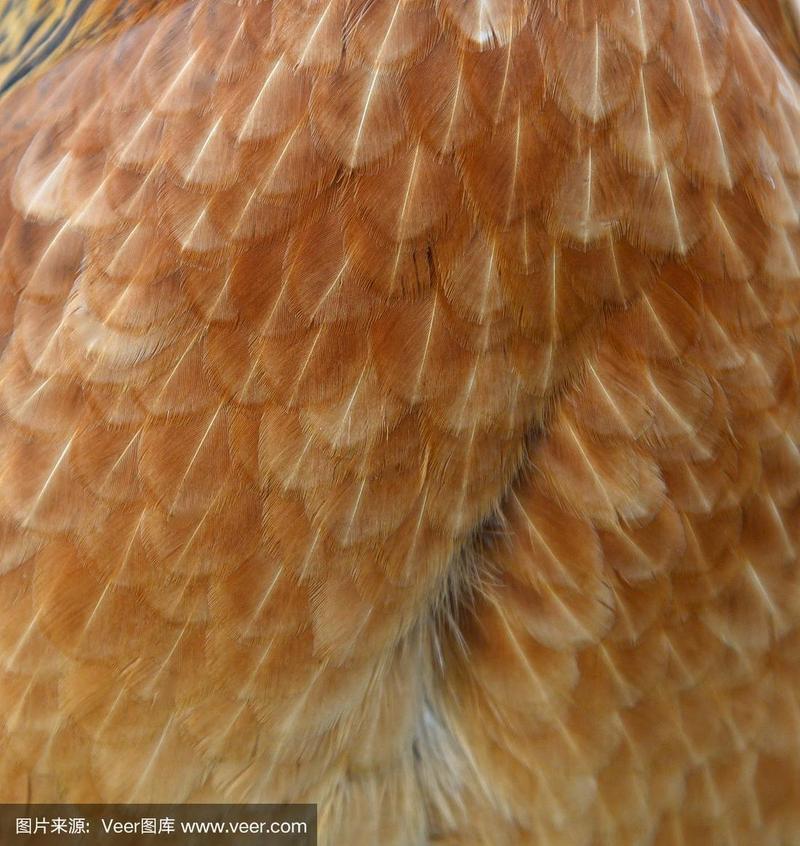 农村废品回收赚钱_明年零元致富的好买卖_乡村创业商机