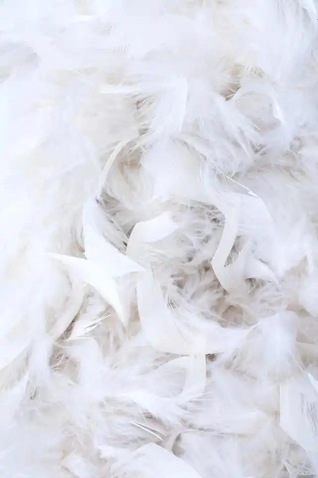 明年零元致富的好买卖_农村废品回收赚钱_乡村创业商机