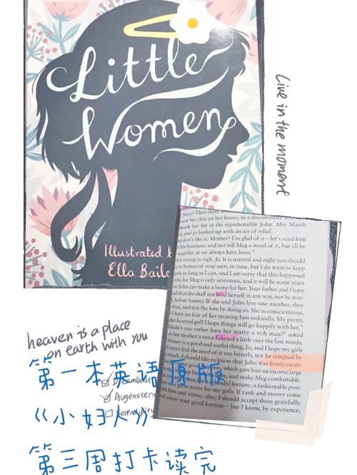 小妇人 四姐妹 人生经历 爱情故事 劳里 家庭教师 Friedrich Jo 拒绝求婚 灵魂伴侣 作家 姑妈 遗产继承权 学校 开办 学校教育 Amy 劳里_小妇人这本书好看嘛