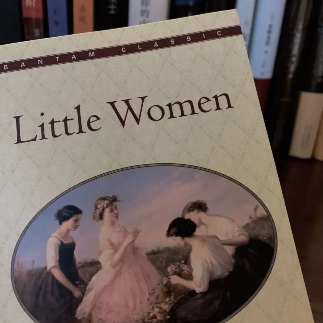 小妇人这本书好看嘛_小妇人 路易莎梅奥尔科特 家庭伦理小说 美国内战