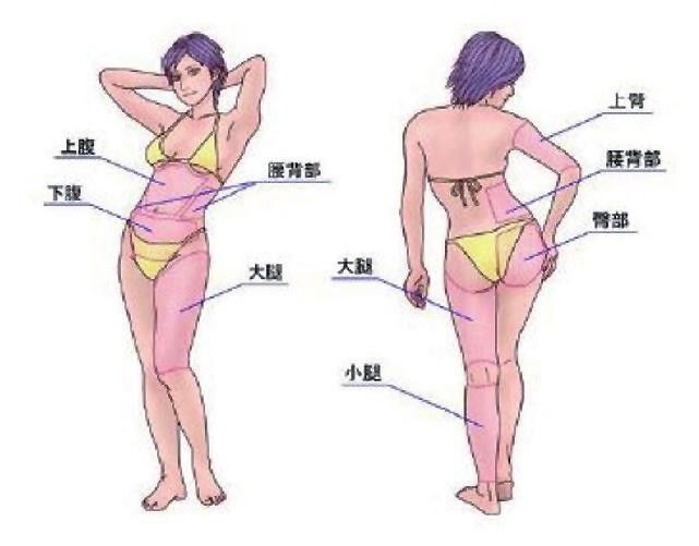 面部吸脂瘦脸会反弹吗_吸脂减肥与体型雕塑术_吸脂塑形