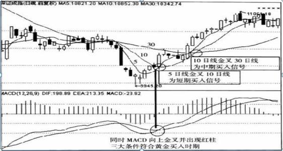 什么是中线买入信号_牛股形成前的特点_股票投资技巧